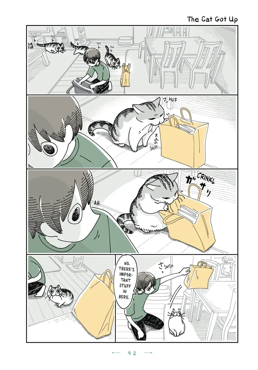 Nights With a Cat Chapter 144 page 1 - 
