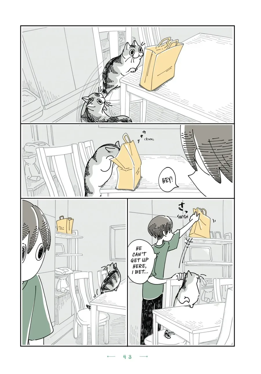 Nights With a Cat Chapter 144 page 2 - 