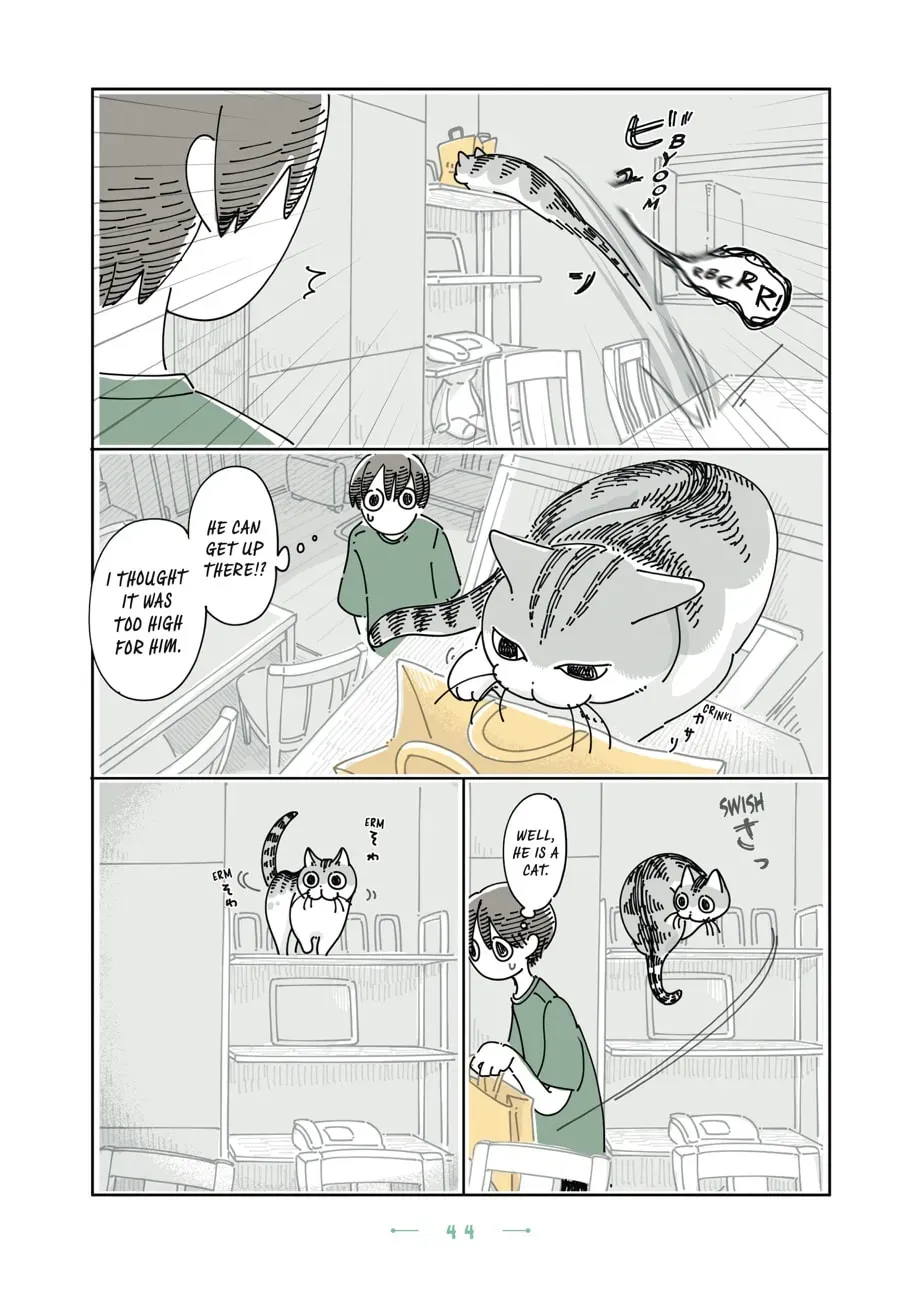 Nights With a Cat Chapter 144 page 3 - 