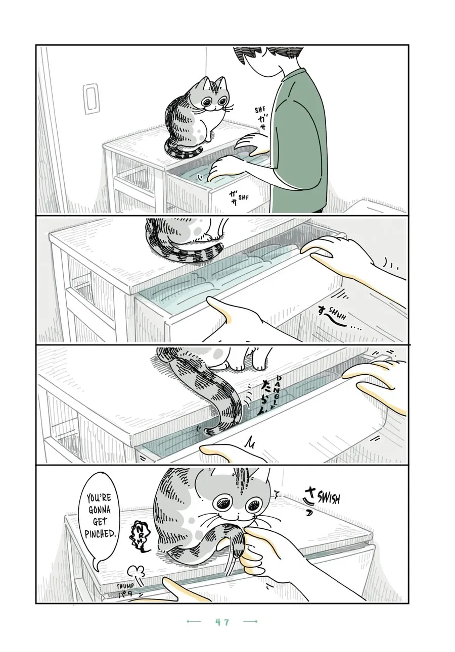 Nights With a Cat Chapter 145 page 2 - 
