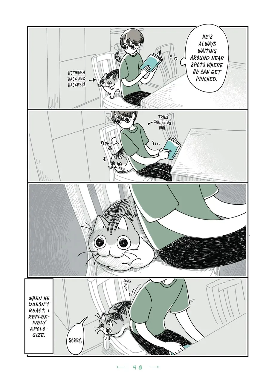 Nights With a Cat Chapter 145 page 3 - 