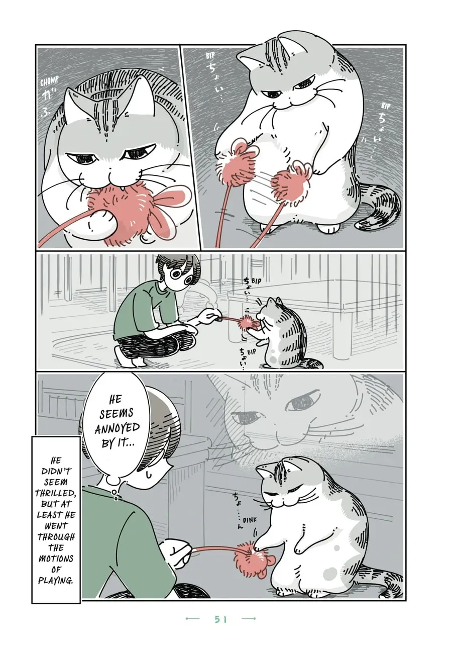 Nights With a Cat Chapter 146 page 3 - 