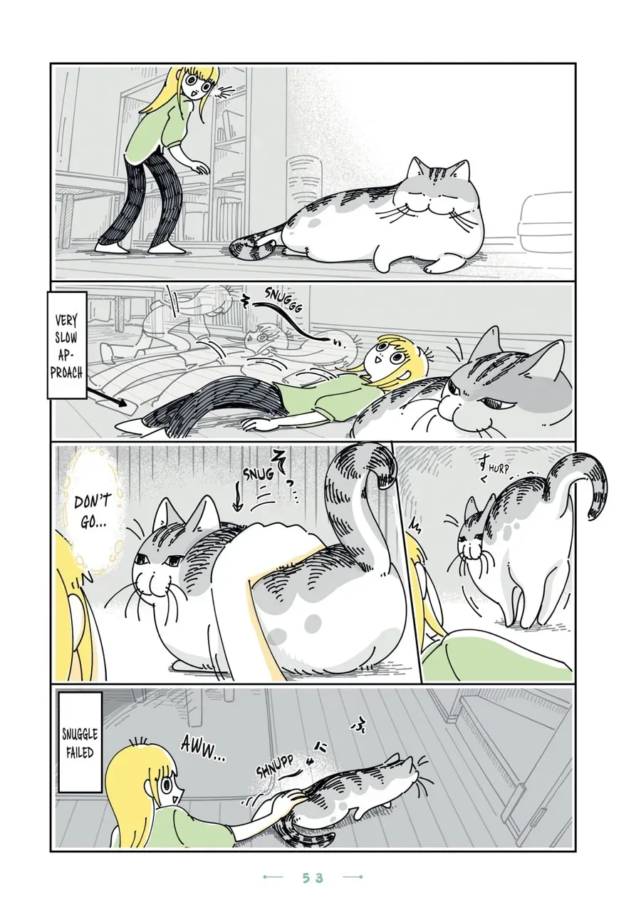 Nights With a Cat Chapter 147 page 2 - 
