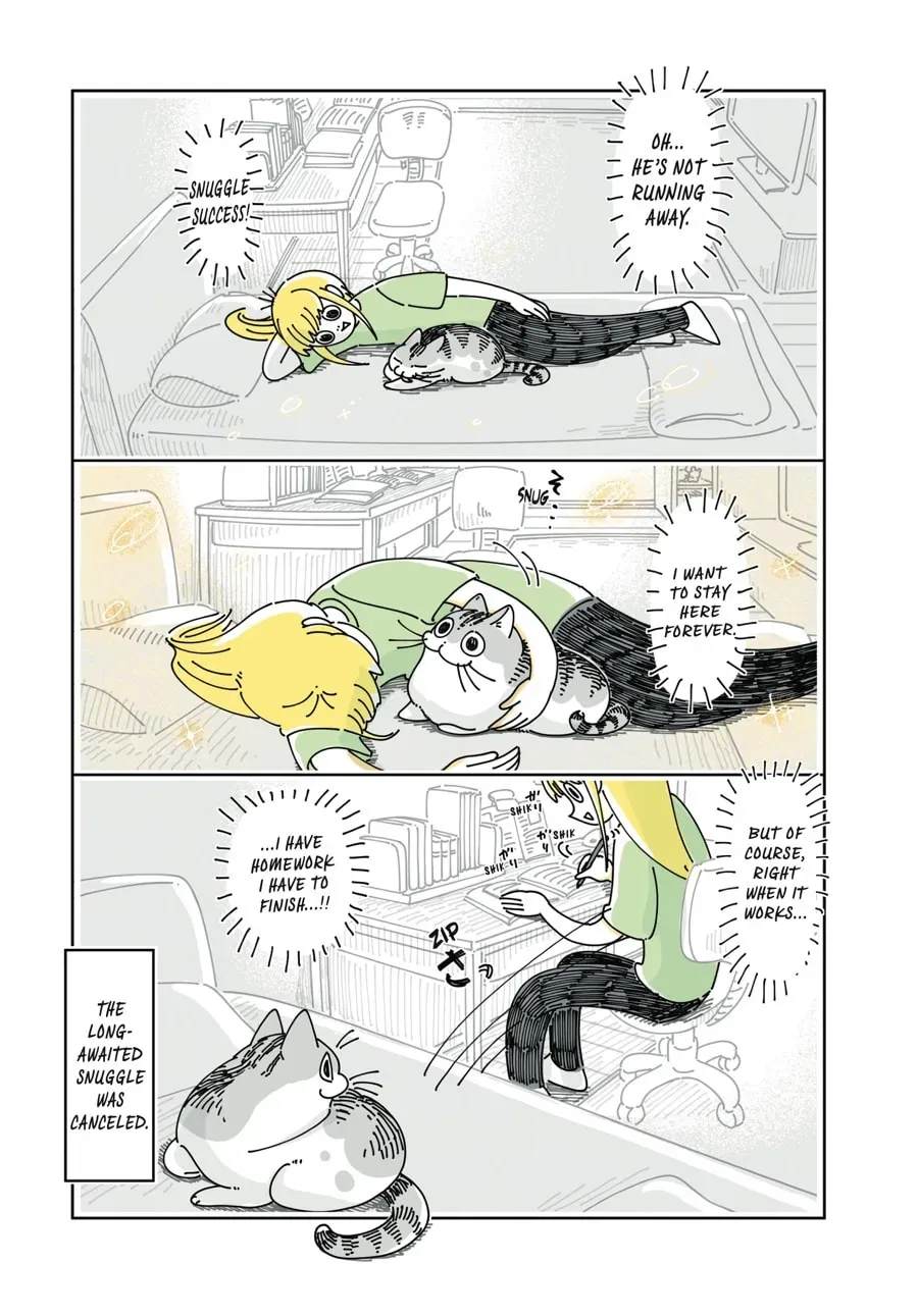 Nights With a Cat Chapter 147 page 4 - 