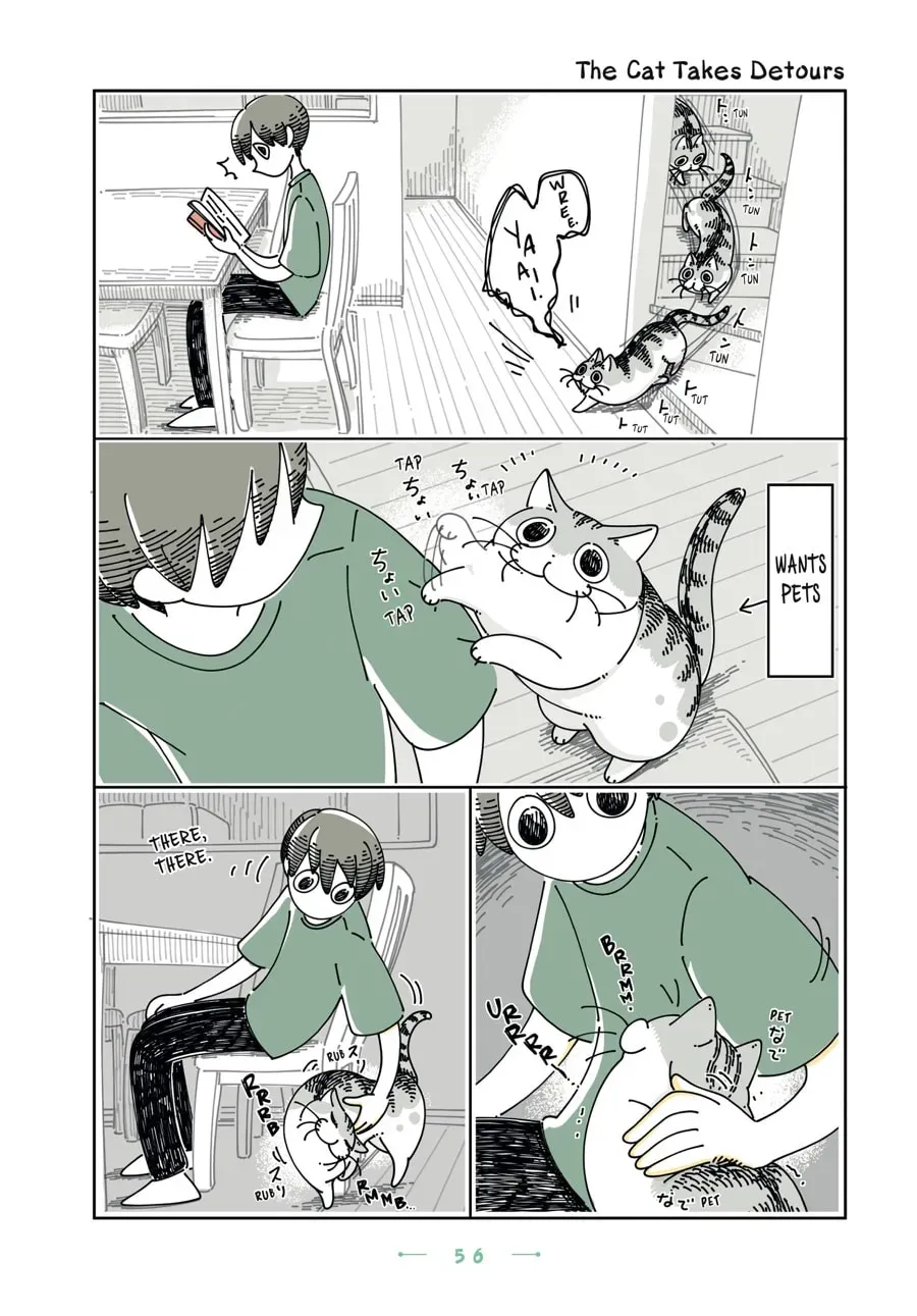 Nights With a Cat Chapter 148 page 1 - 