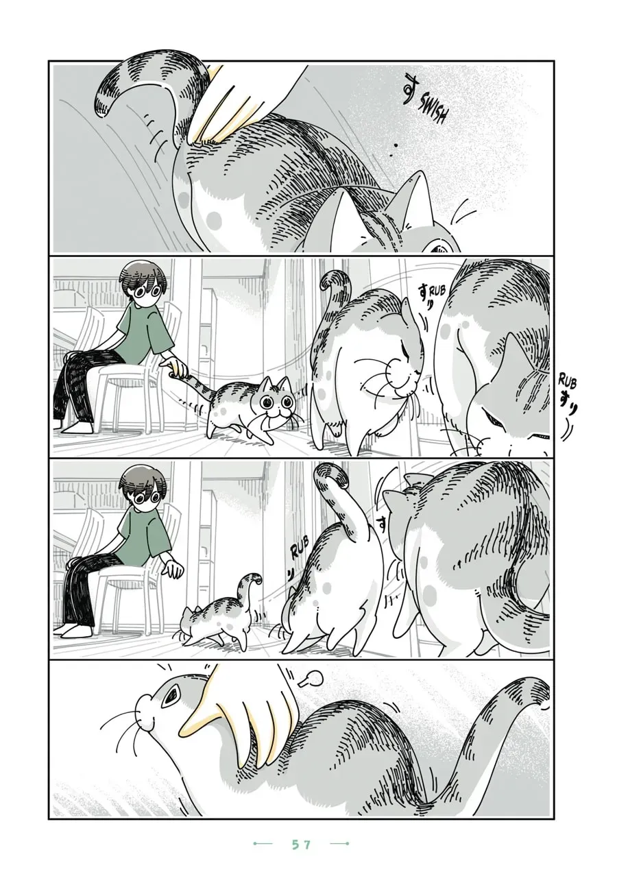 Nights With a Cat Chapter 148 page 2 - 