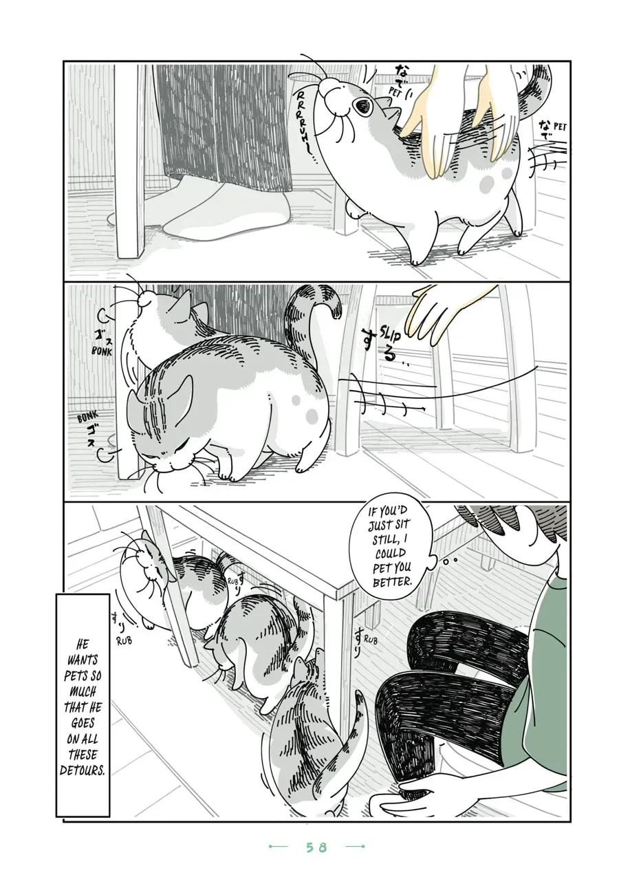 Nights With a Cat Chapter 148 page 3 - 