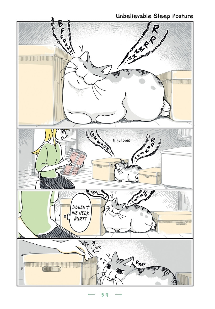 Nights With a Cat Chapter 149 page 1 - 