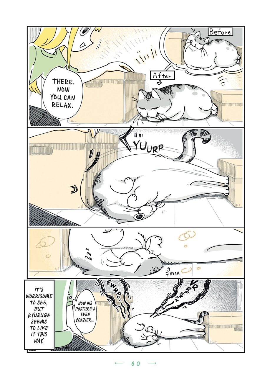Nights With a Cat Chapter 149 page 2 - 
