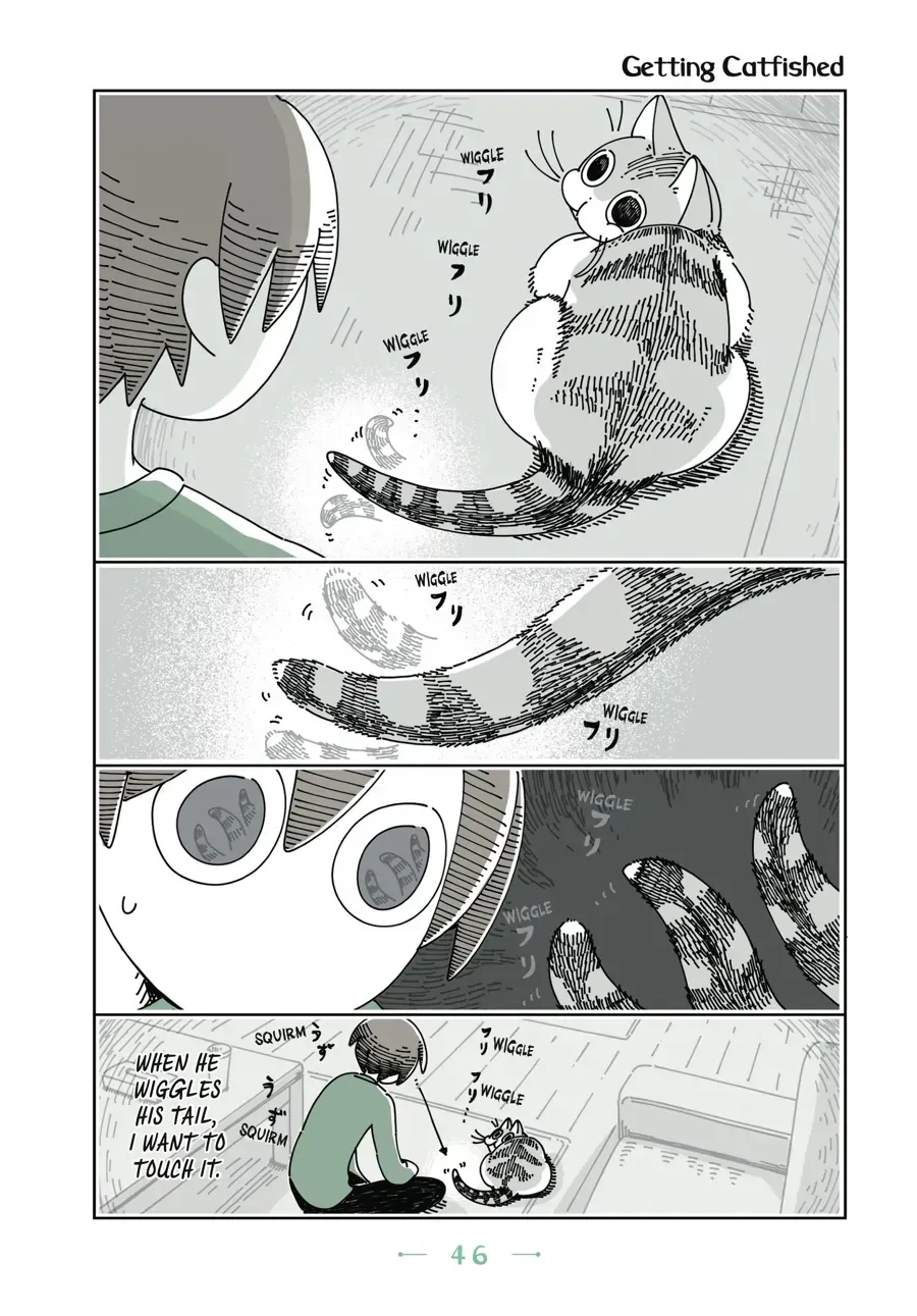 Nights With a Cat Chapter 15.1 page 1 - 