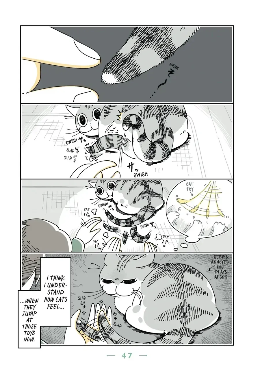 Nights With a Cat Chapter 15.1 page 2 - 
