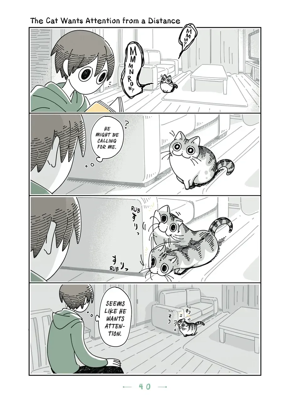 Nights With a Cat Chapter 15.2 page 1 - 