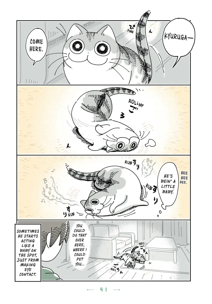 Nights With a Cat Chapter 15.2 page 2 - 