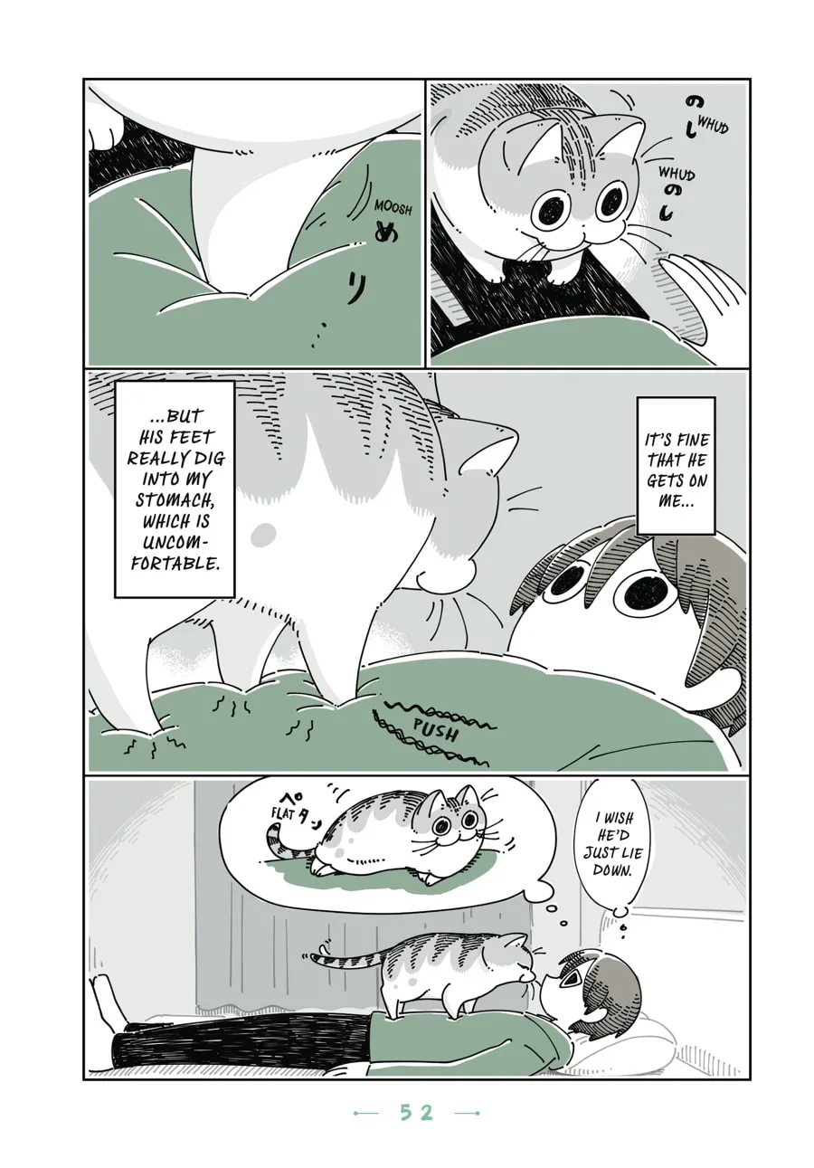 Nights With a Cat Chapter 15 page 11 - 