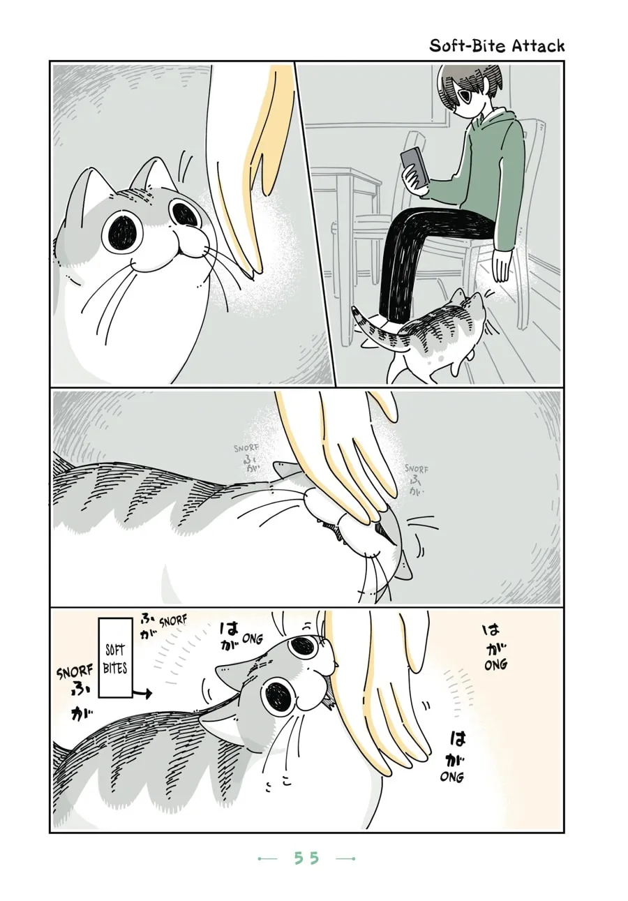 Nights With a Cat Chapter 15 page 14 - 