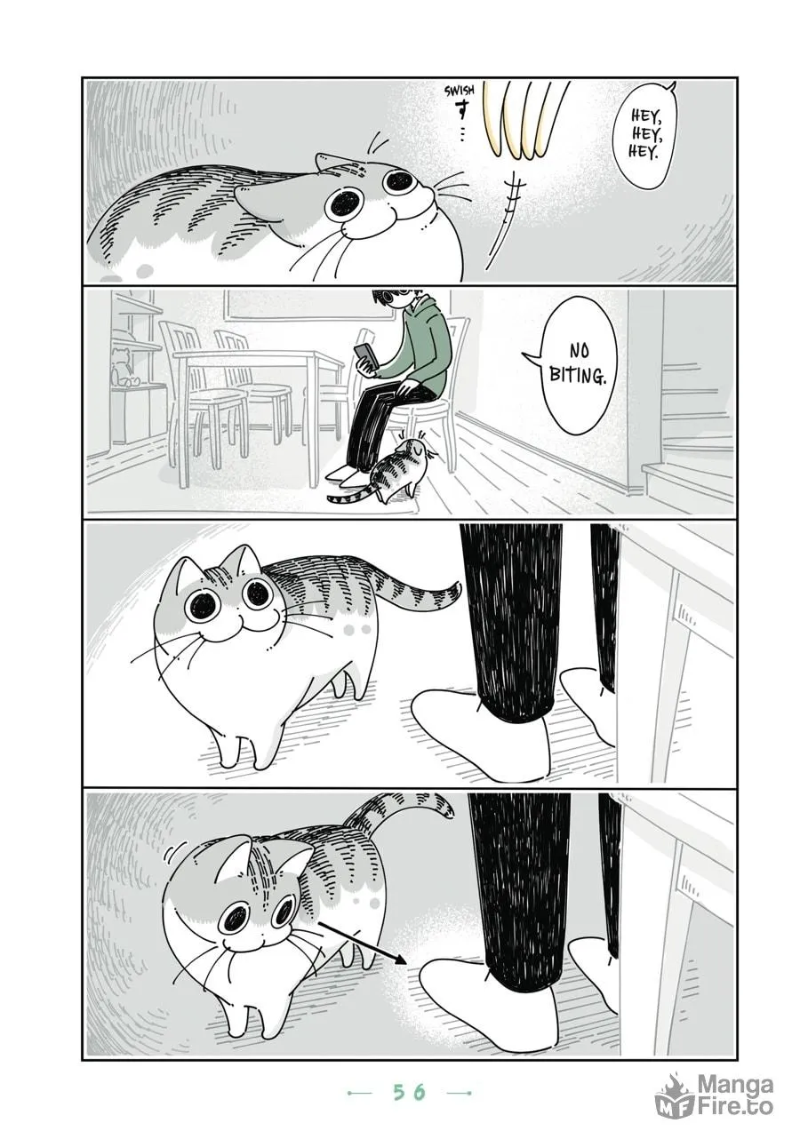 Nights With a Cat Chapter 15 page 15 - 