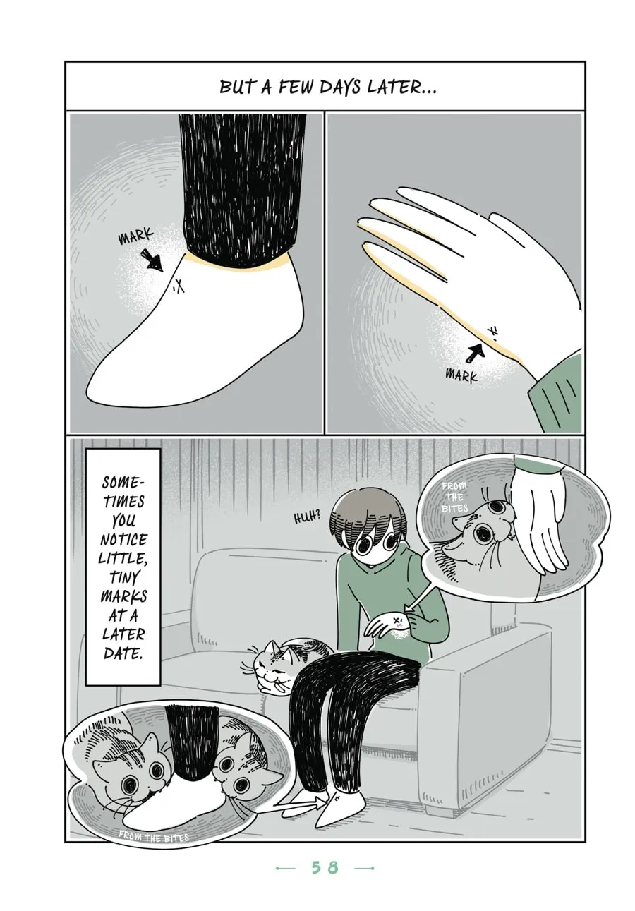 Nights With a Cat Chapter 15 page 17 - 