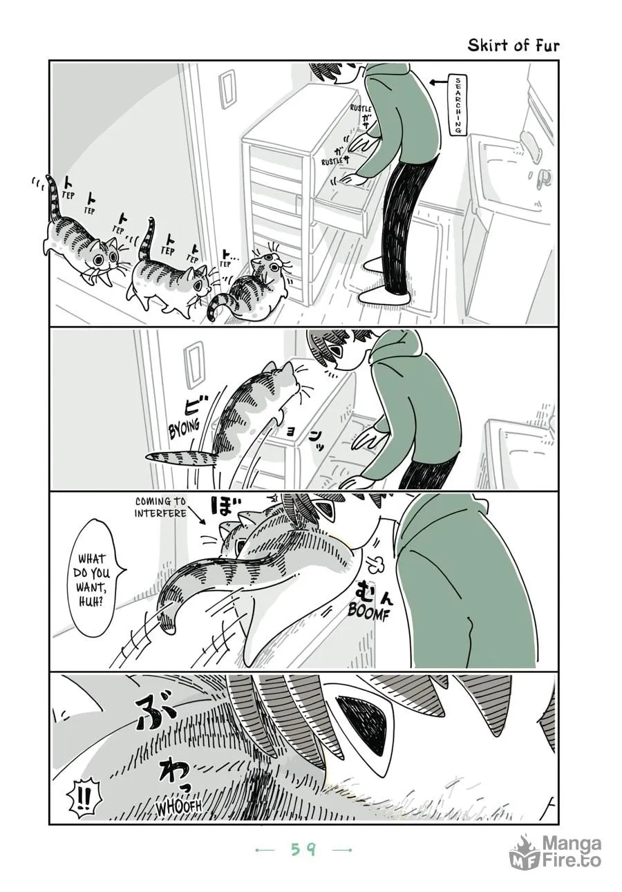 Nights With a Cat Chapter 15 page 18 - 