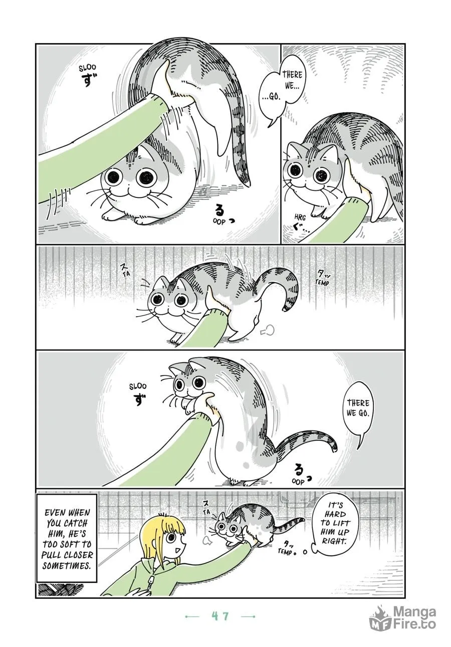 Nights With a Cat Chapter 15 page 6 - 