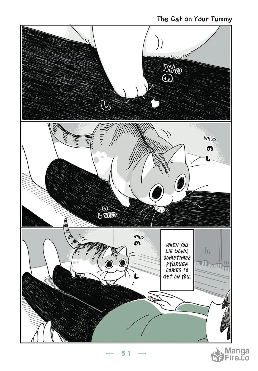 Nights With a Cat Chapter 15 page 10 - 
