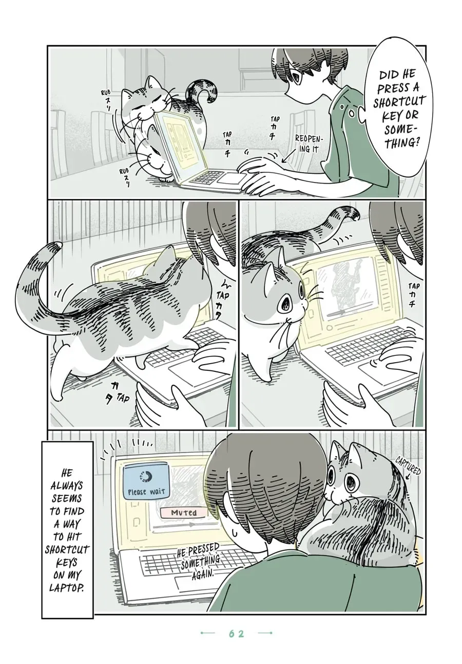 Nights With a Cat Chapter 150 page 2 - 