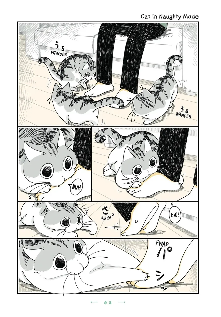 Nights With a Cat Chapter 151 page 1 - 