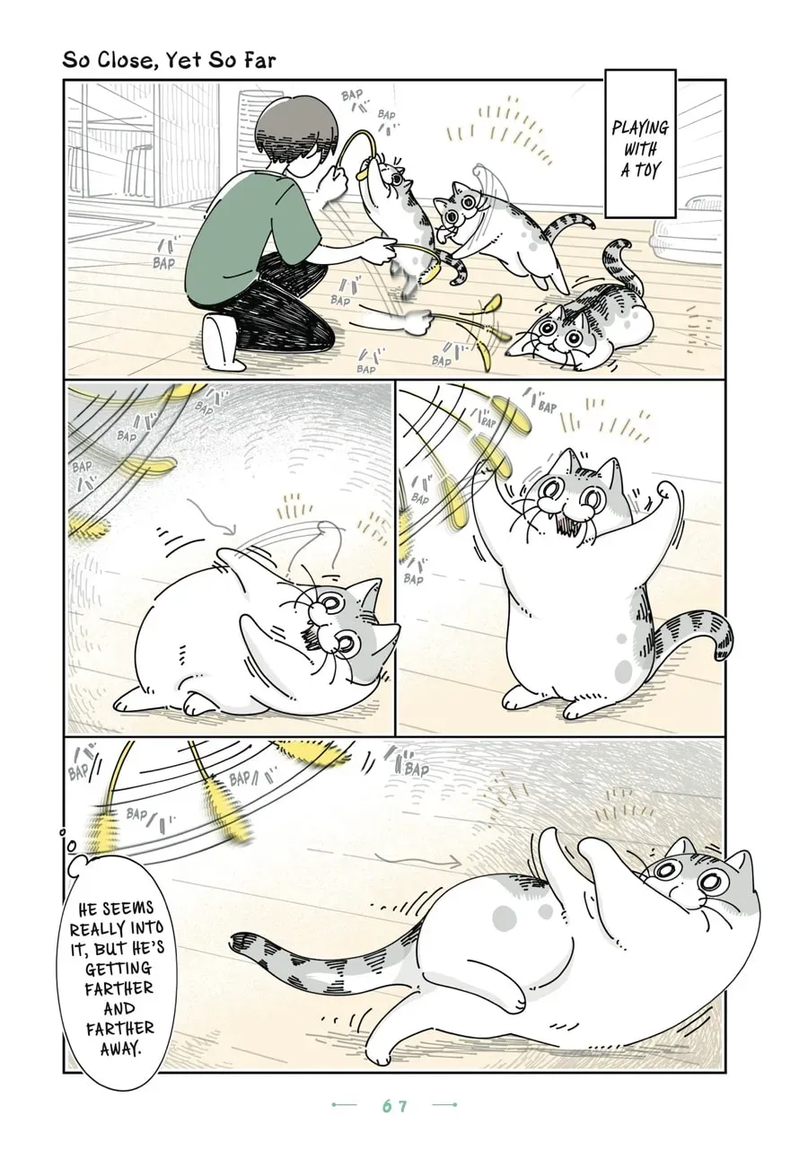 Nights With a Cat Chapter 153 page 1 - 