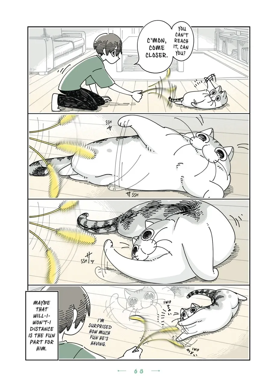Nights With a Cat Chapter 153 page 2 - 