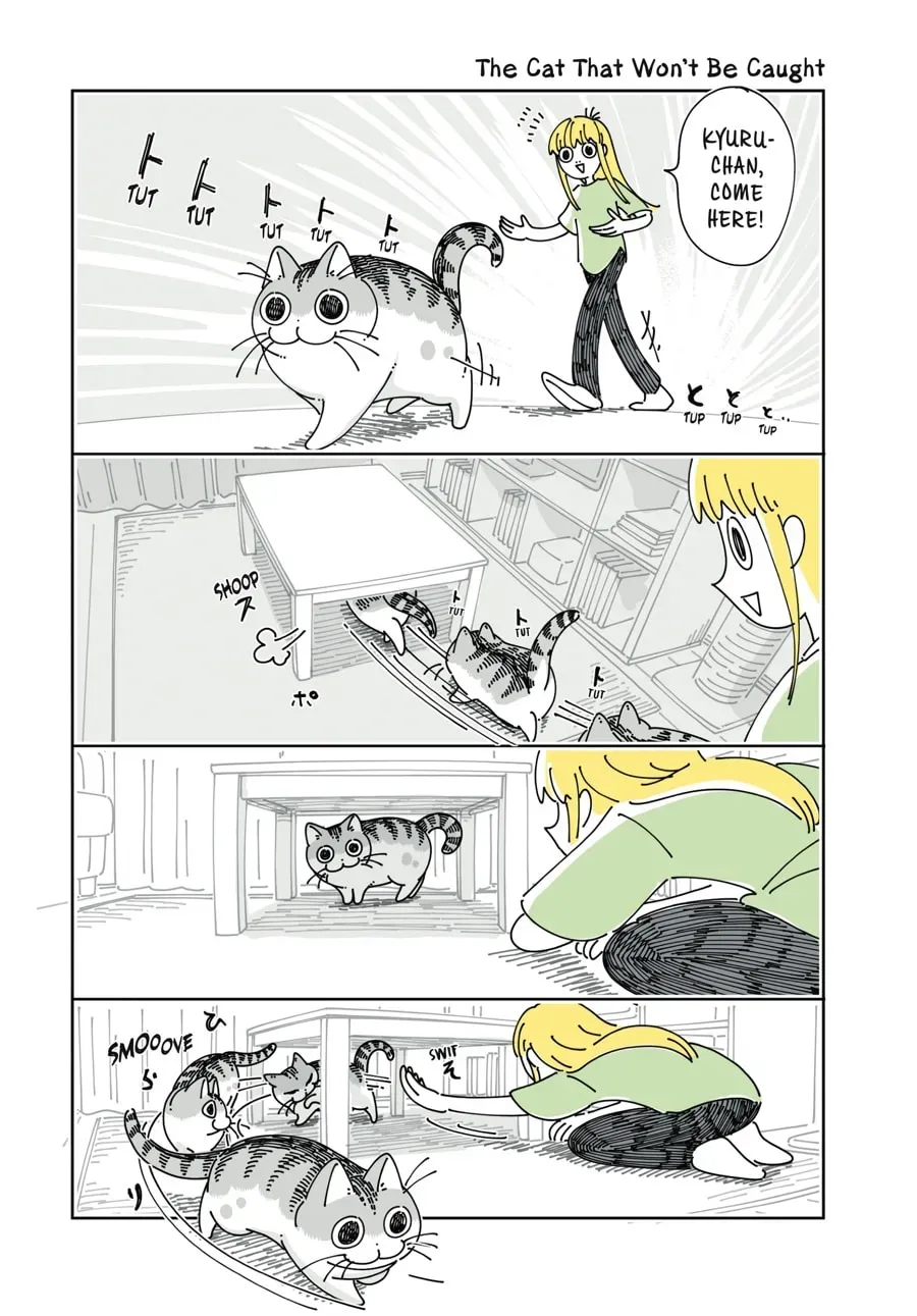 Nights With a Cat Chapter 154 page 1 - 