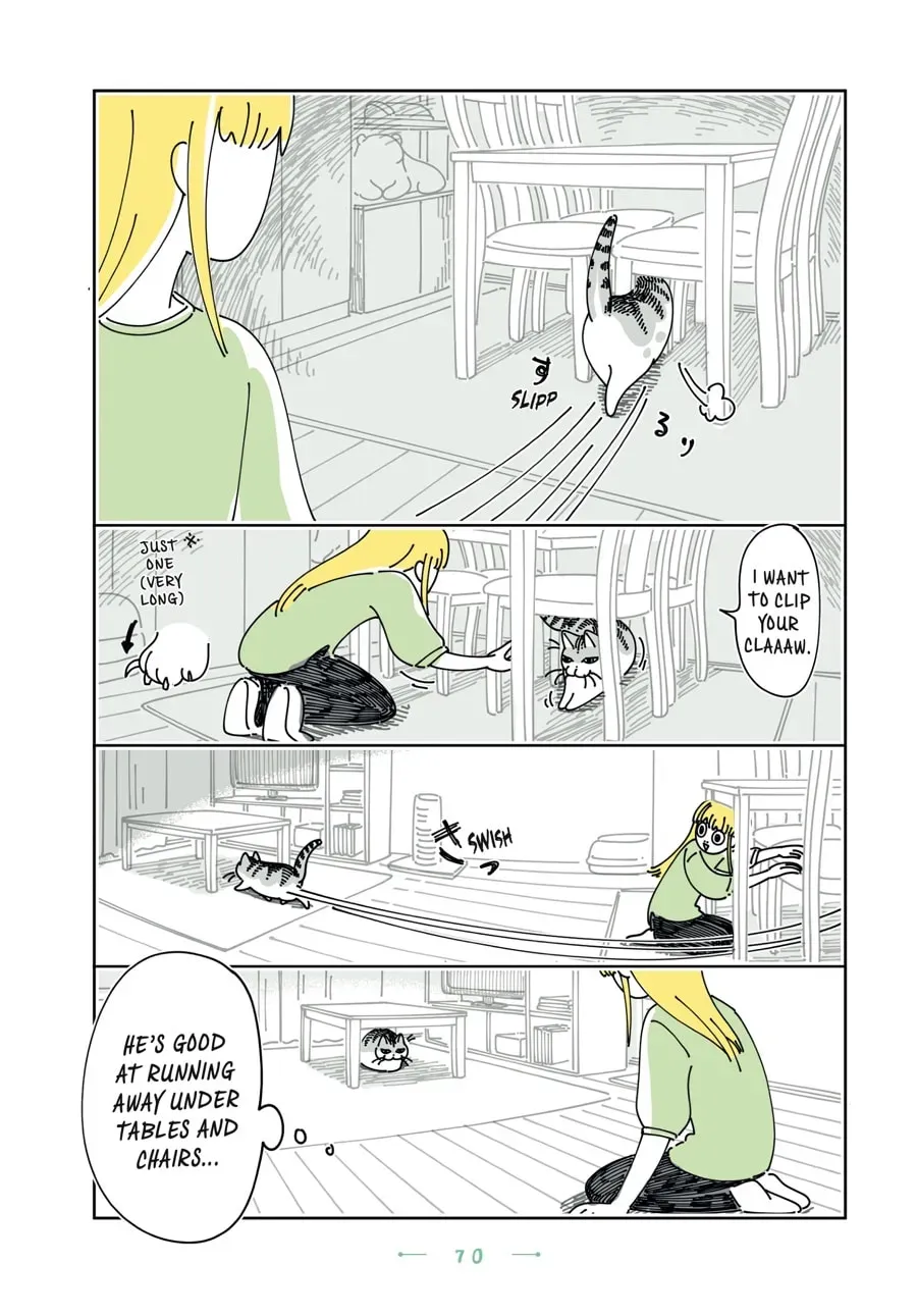 Nights With a Cat Chapter 154 page 2 - 