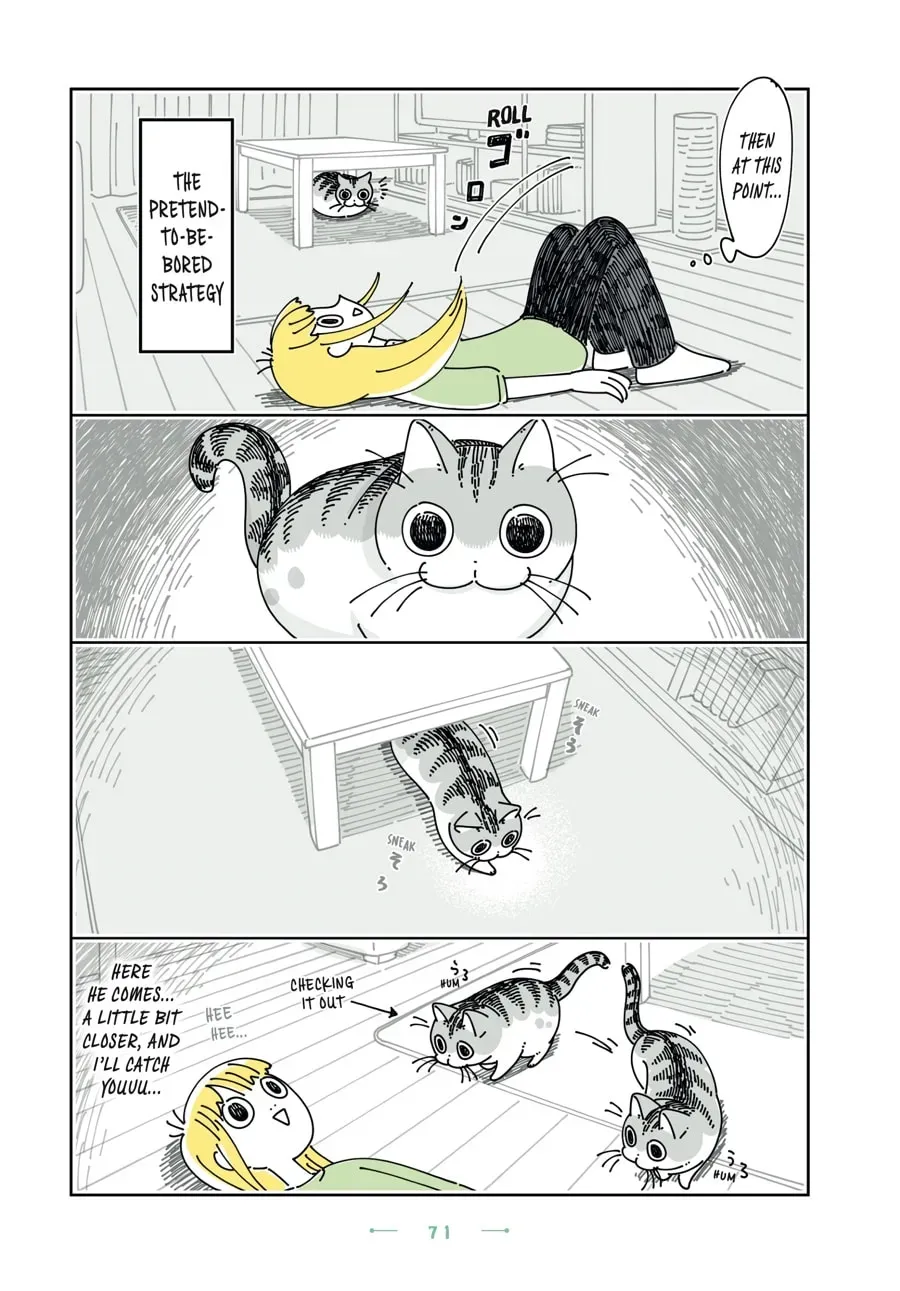 Nights With a Cat Chapter 154 page 3 - 