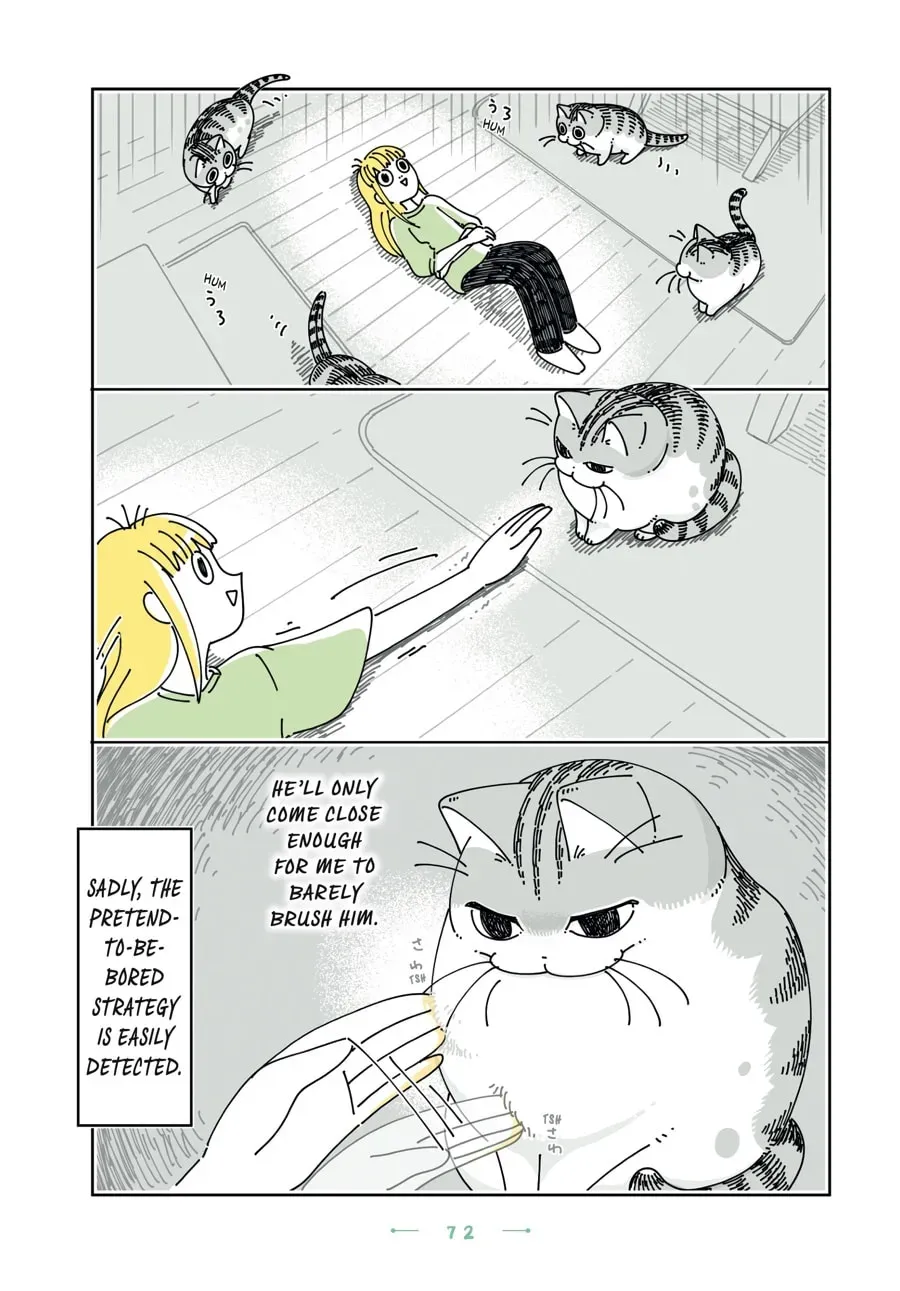 Nights With a Cat Chapter 154 page 4 - 