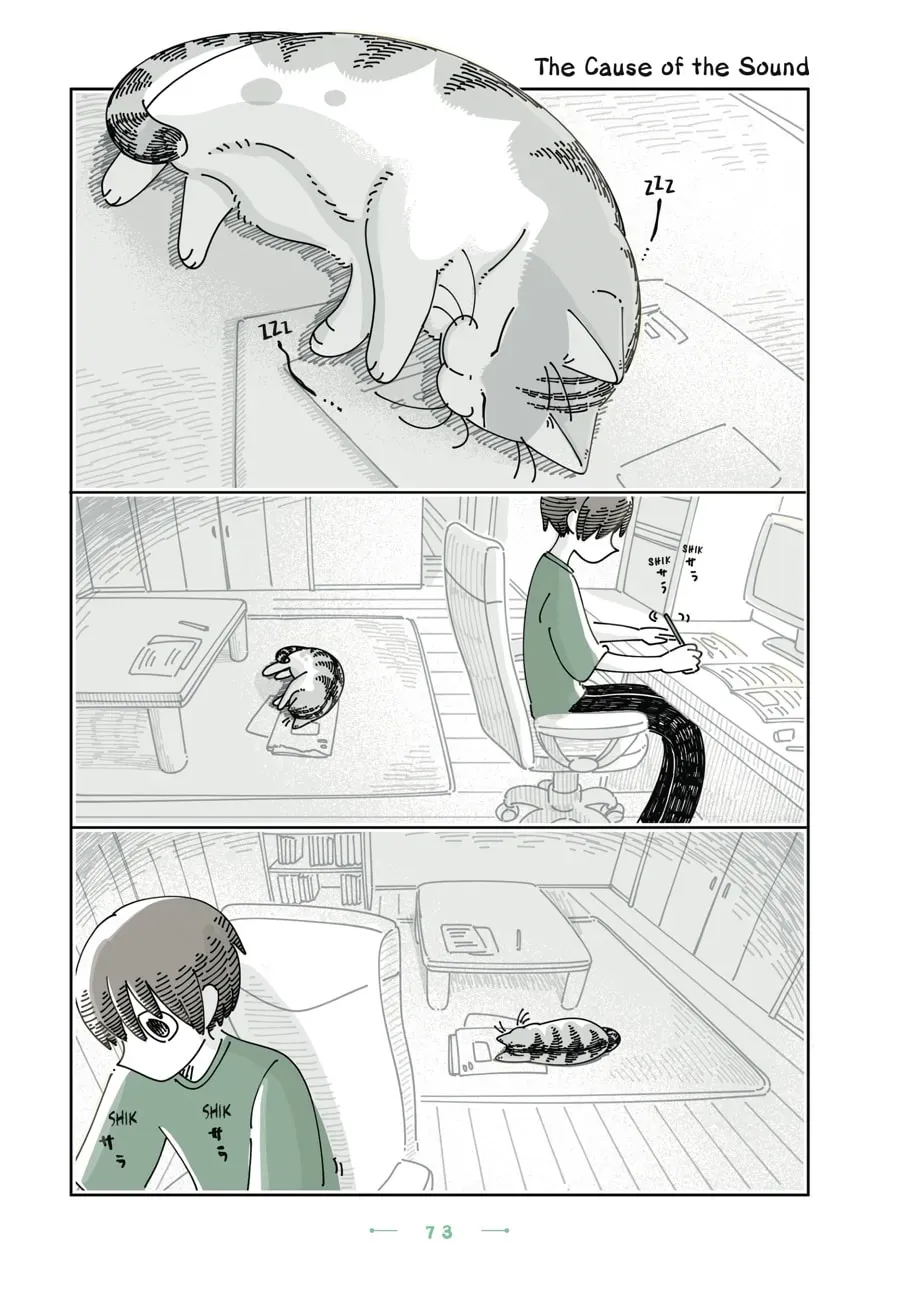 Nights With a Cat Chapter 155 page 1 - 