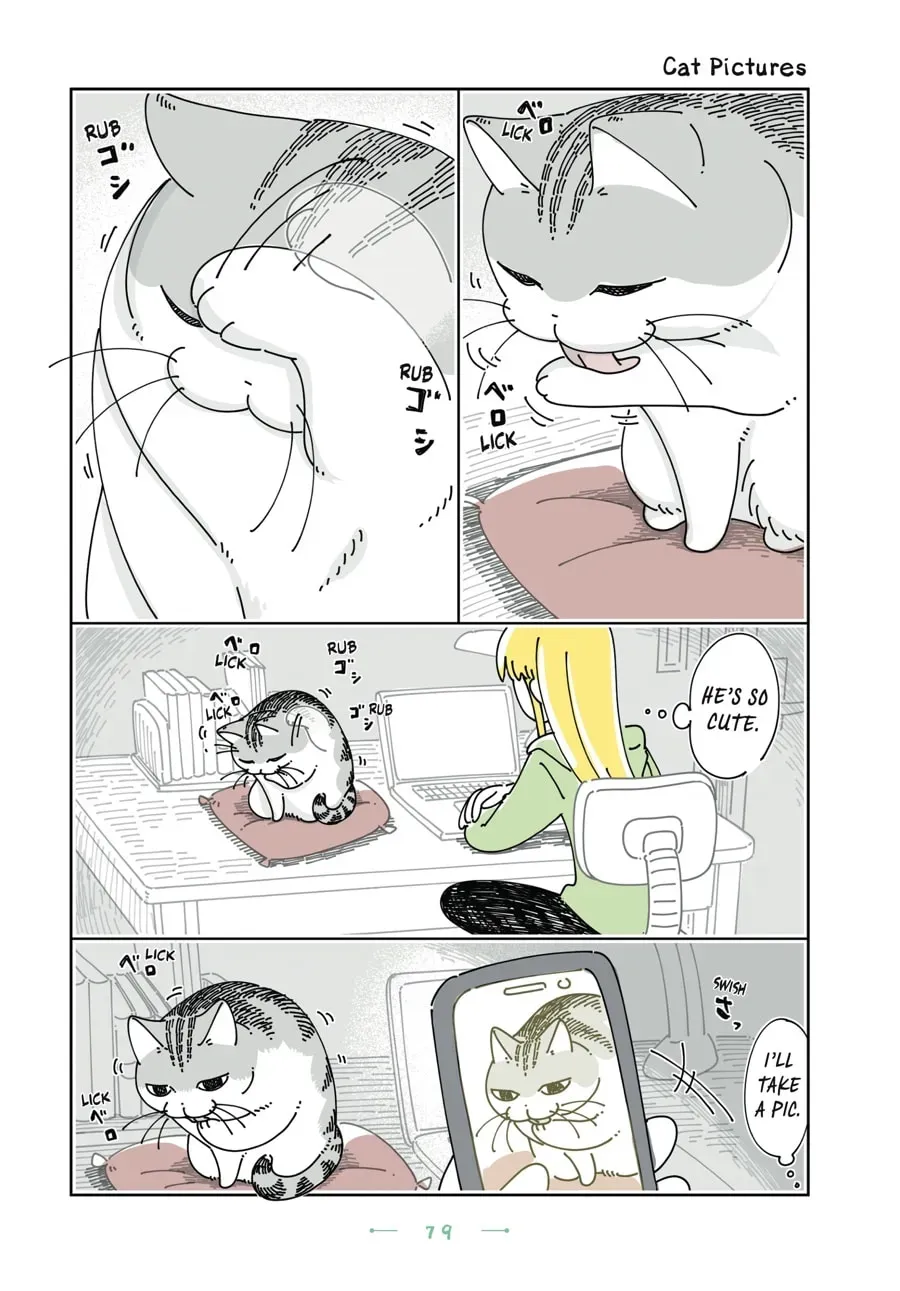 Nights With a Cat Chapter 157 page 1 - 
