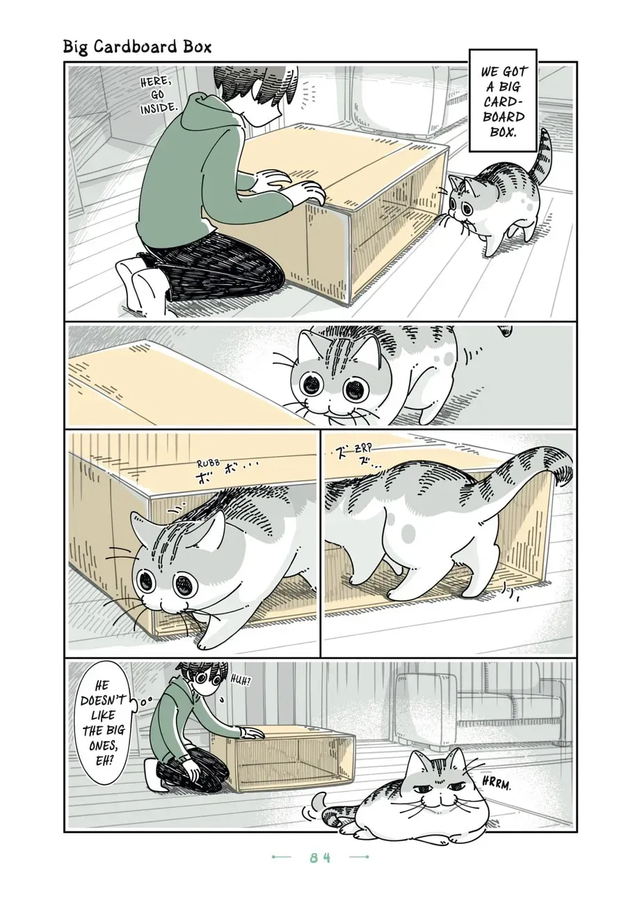 Nights With a Cat Chapter 159 page 1 - 