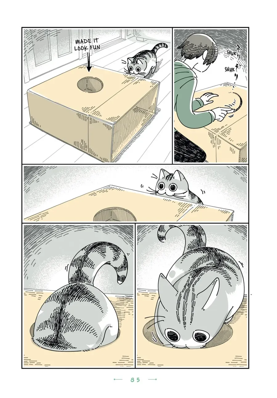 Nights With a Cat Chapter 159 page 2 - 