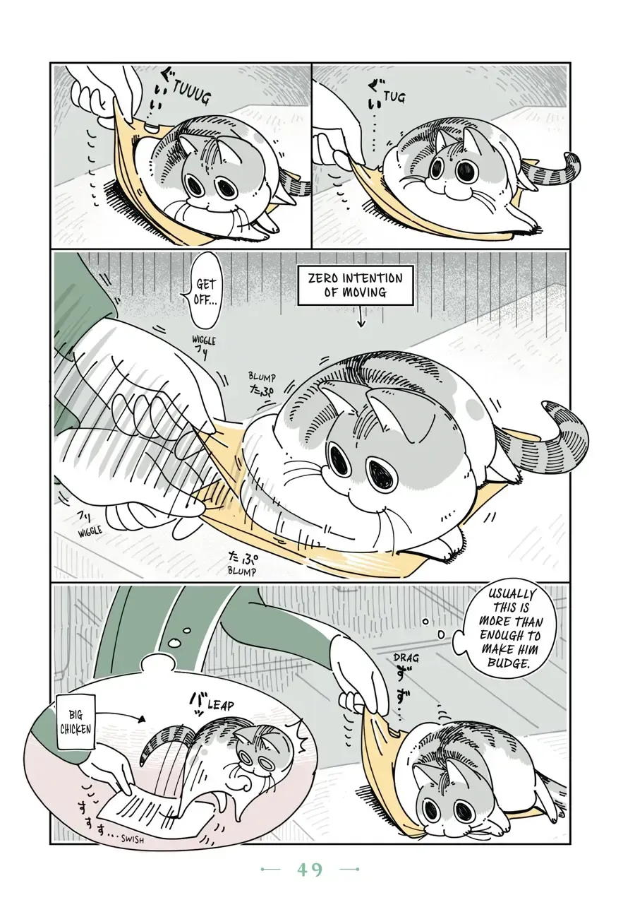 Nights With a Cat Chapter 16.1 page 2 - 