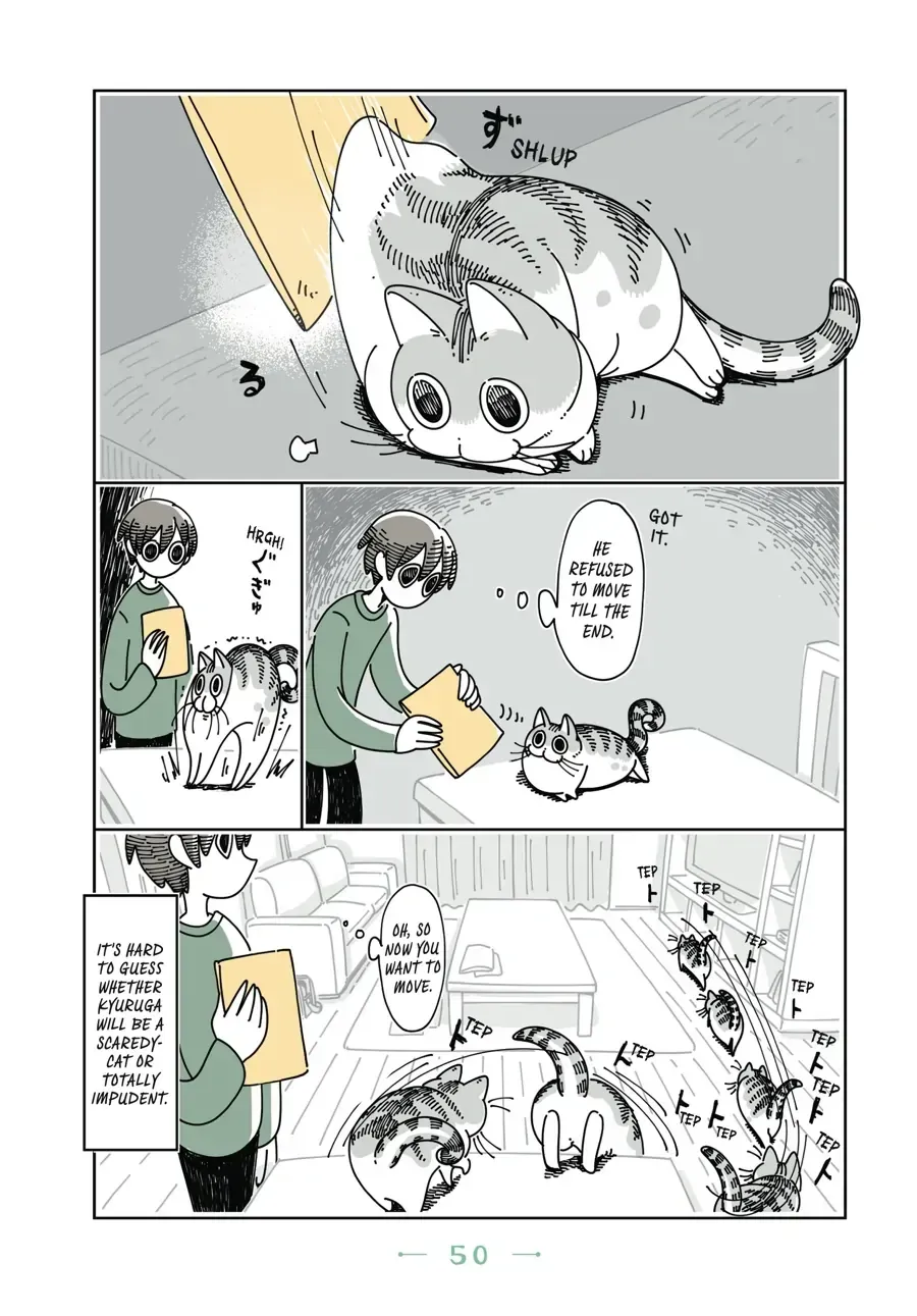 Nights With a Cat Chapter 16.1 page 3 - 