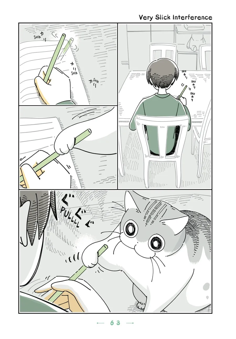 Nights With a Cat Chapter 16 page 1 - 