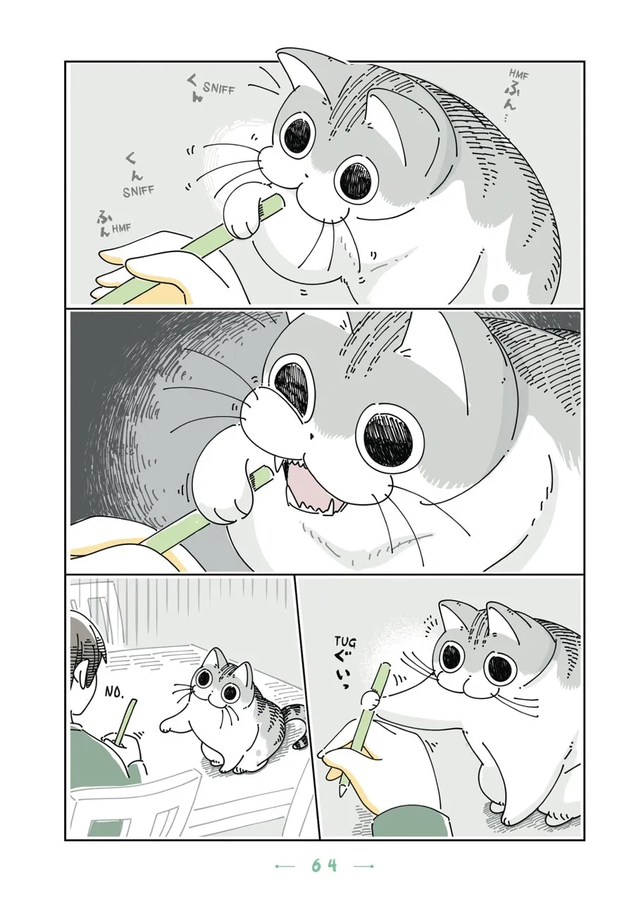 Nights With a Cat Chapter 16 page 2 - 