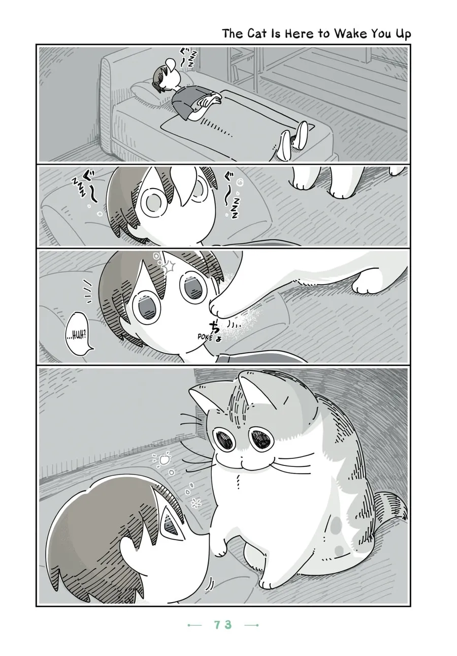 Nights With a Cat Chapter 16 page 11 - 