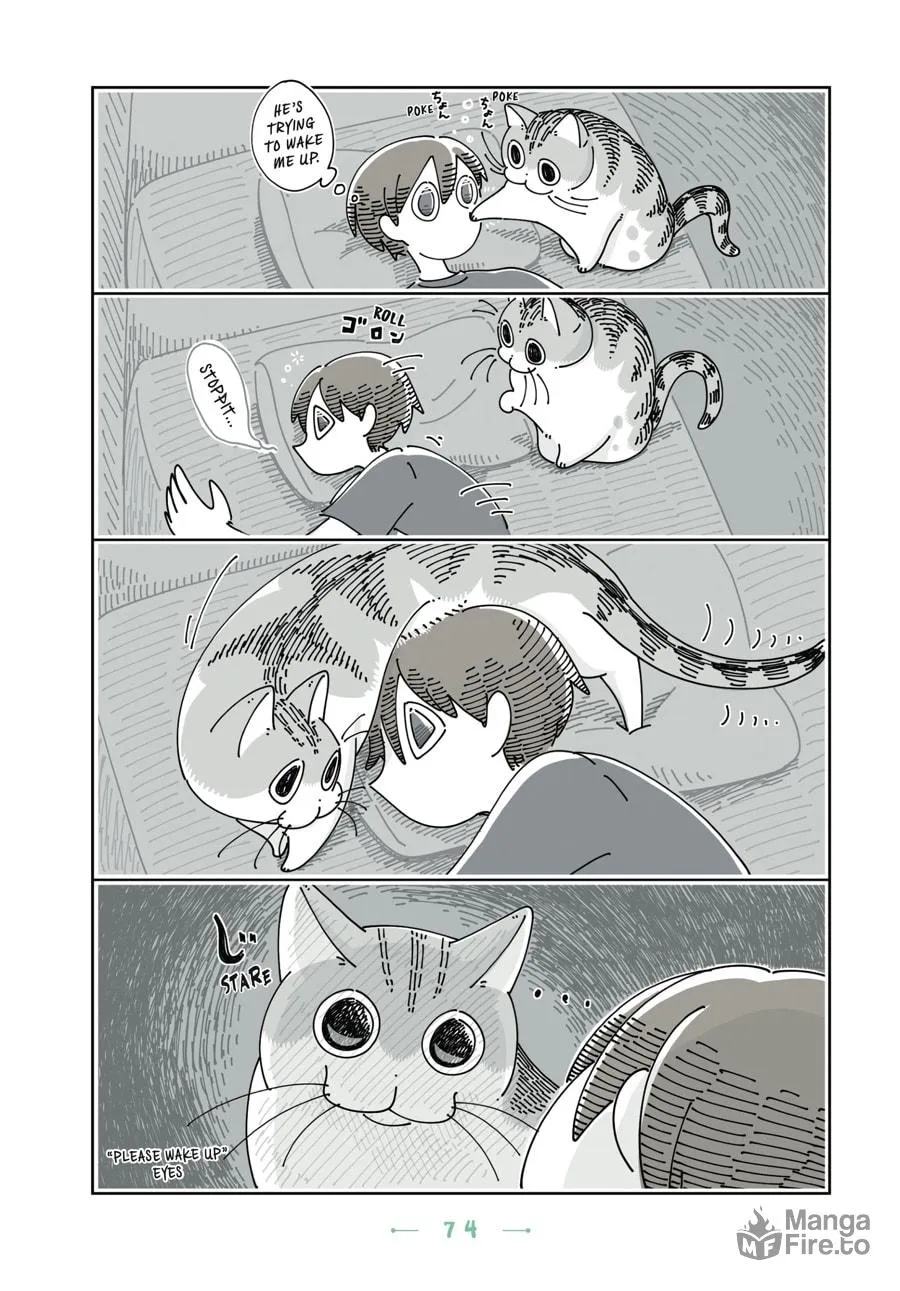 Nights With a Cat Chapter 16 page 12 - 