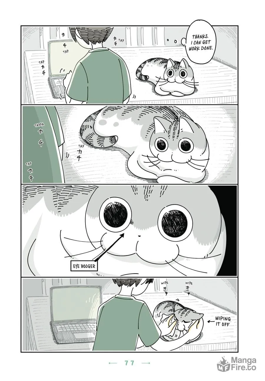 Nights With a Cat Chapter 16 page 15 - 