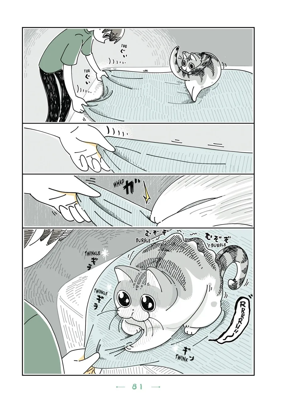 Nights With a Cat Chapter 16 page 19 - 