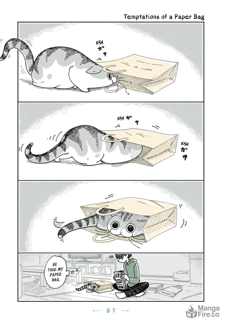 Nights With a Cat Chapter 16 page 5 - 