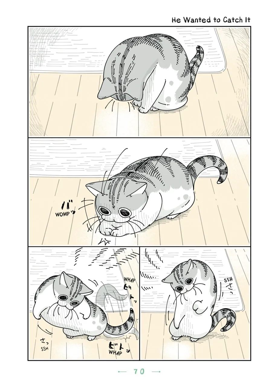 Nights With a Cat Chapter 16 page 8 - 