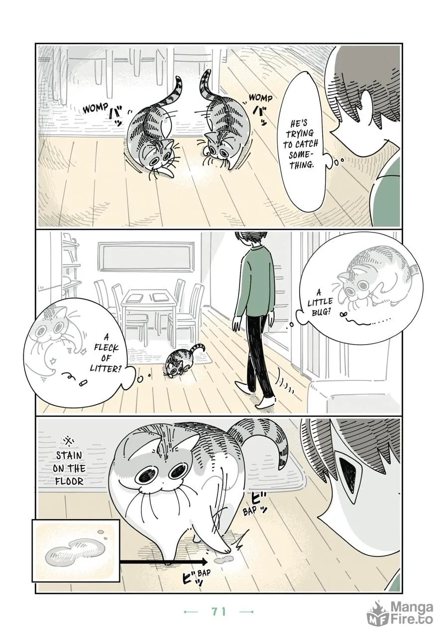 Nights With a Cat Chapter 16 page 9 - 