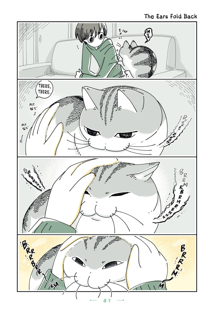 Nights With a Cat Chapter 160 page 1 - 