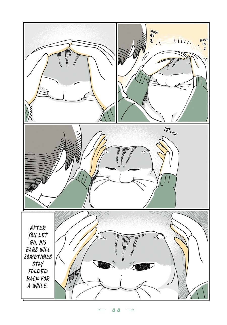 Nights With a Cat Chapter 160 page 2 - 