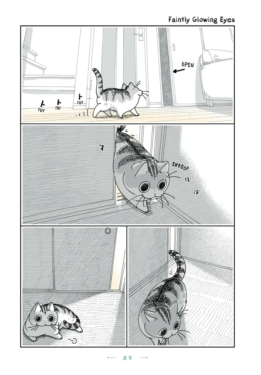 Nights With a Cat Chapter 161 page 1 - 